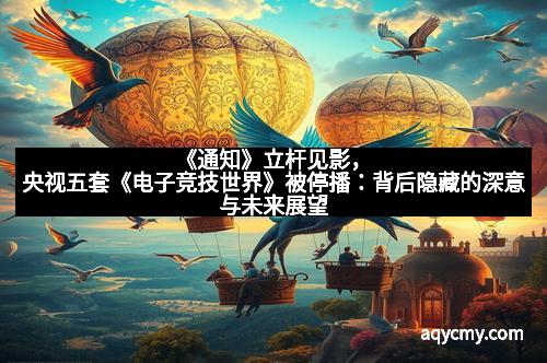 《通知》立杆见影，央视五套《电子竞技世界》被停播：背后隐藏的深意与未来展望